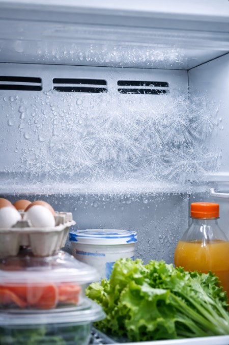 В холодильнике образуется наледь на задней стенке — причины